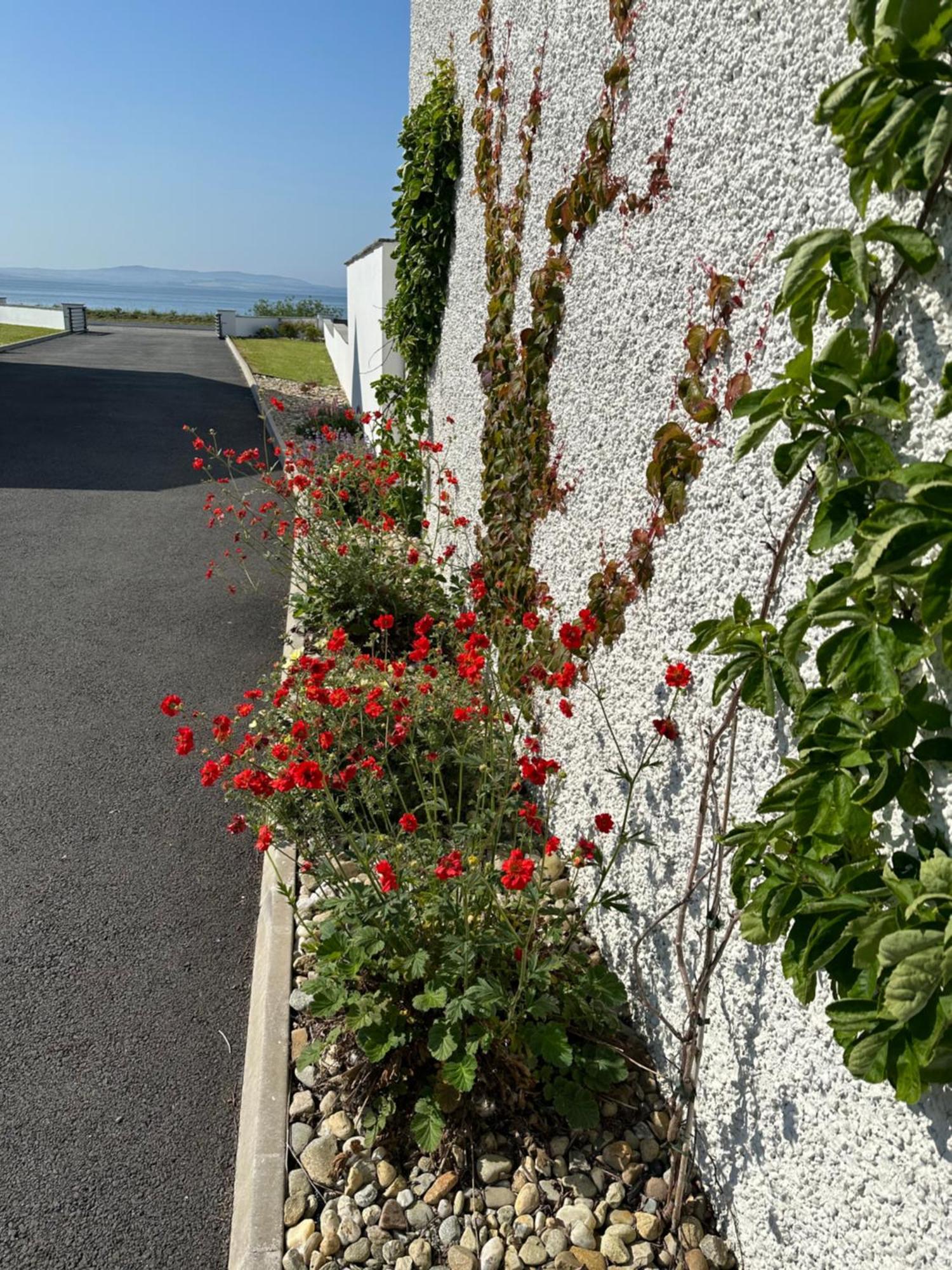 Sea Vista - Rathmullan Exterior foto